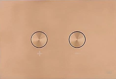 Plaque de commande 2 touches blink pneumatique cuivre