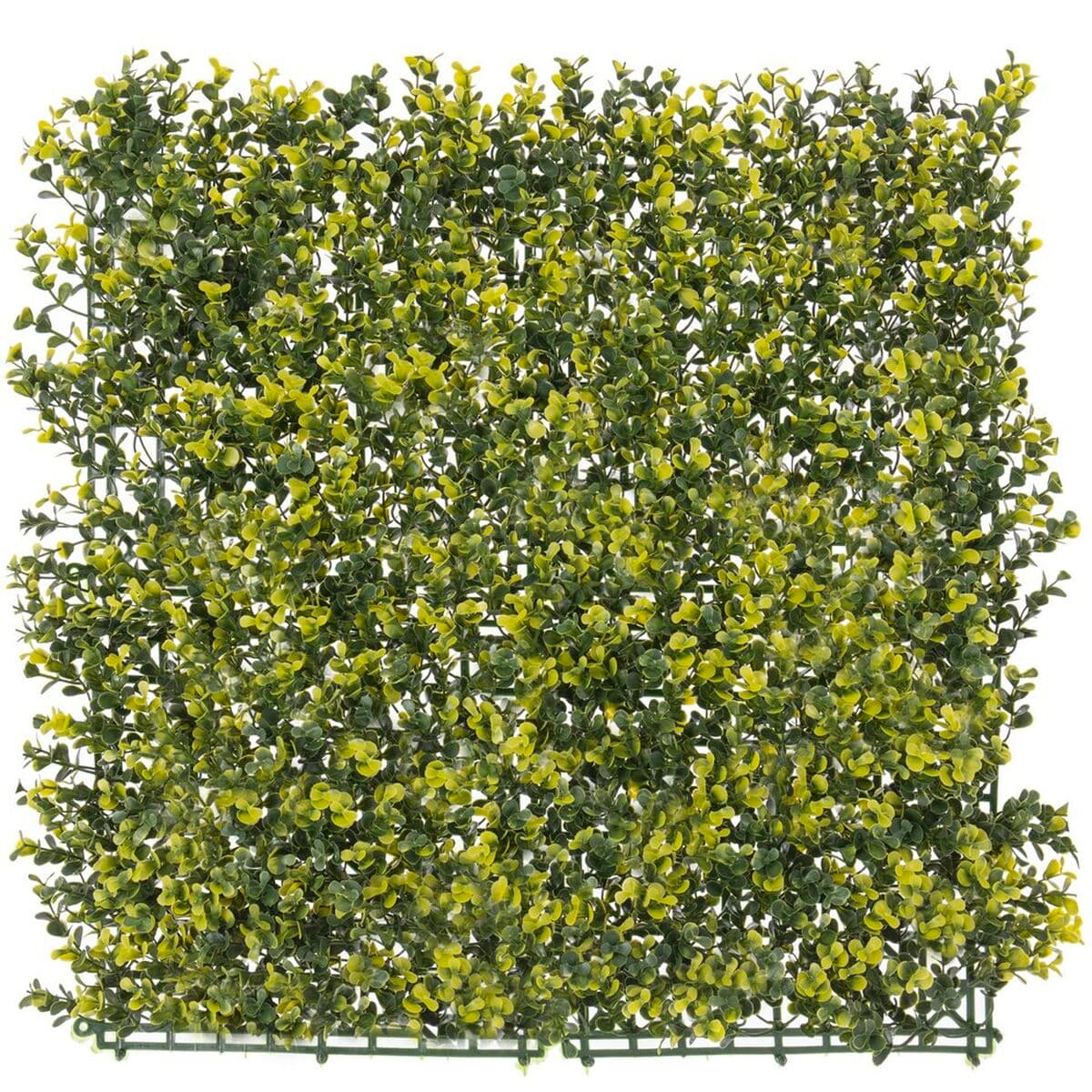 Zaunelement 50 x 50 x 2 cm