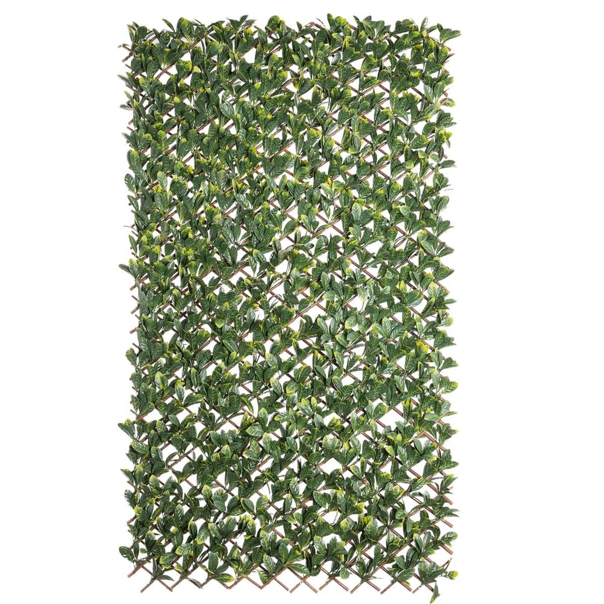 Spalier Natur Lorbeer Weide Bambus 2 x 200 x 100 cm