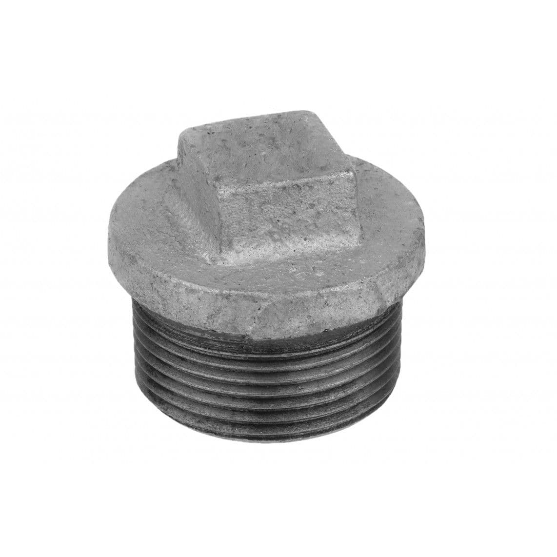 989802060 GI plug, gegalvaniseerd, 3/4"BU, (290) (5x) vue 1